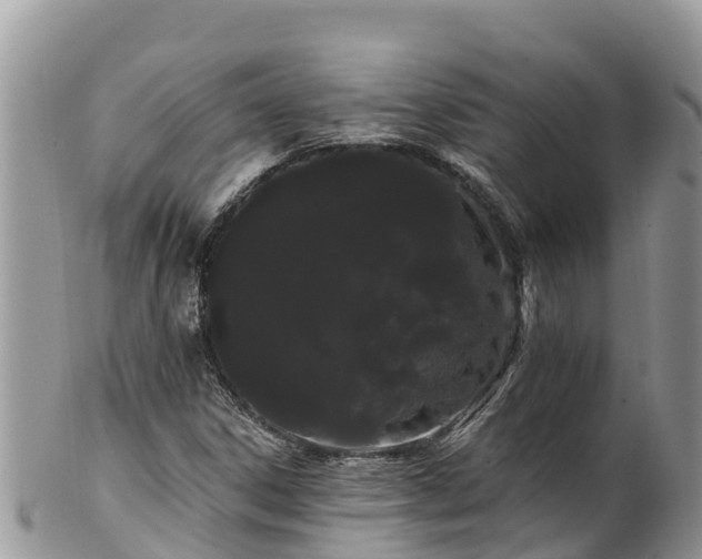 X0000102291306200808011504