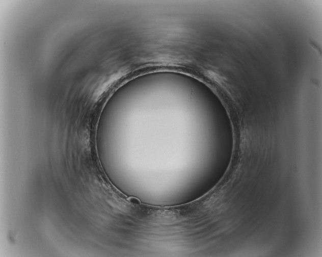 X0000102291307200808011504