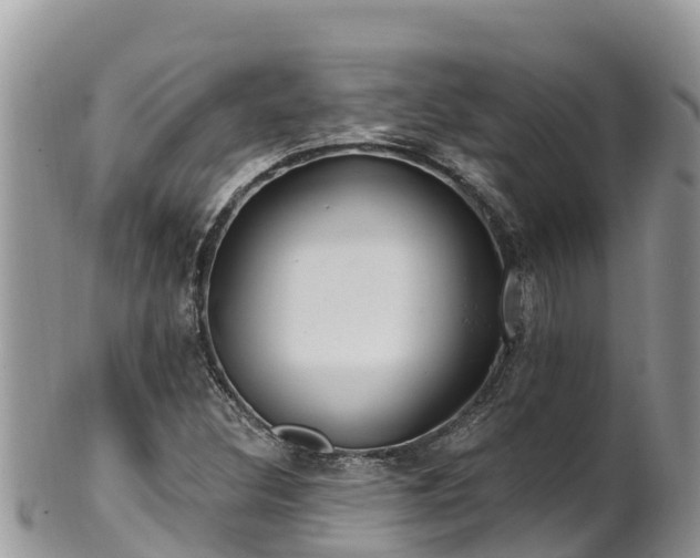 X0000102291308200808011504