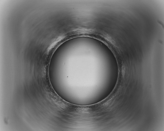 X0000102291309200808011504