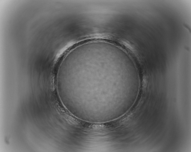 X0000102291310200808011504