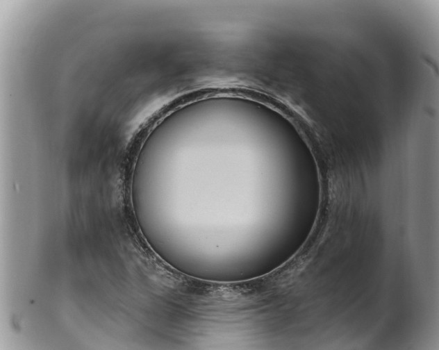 X0000102291311200808011504