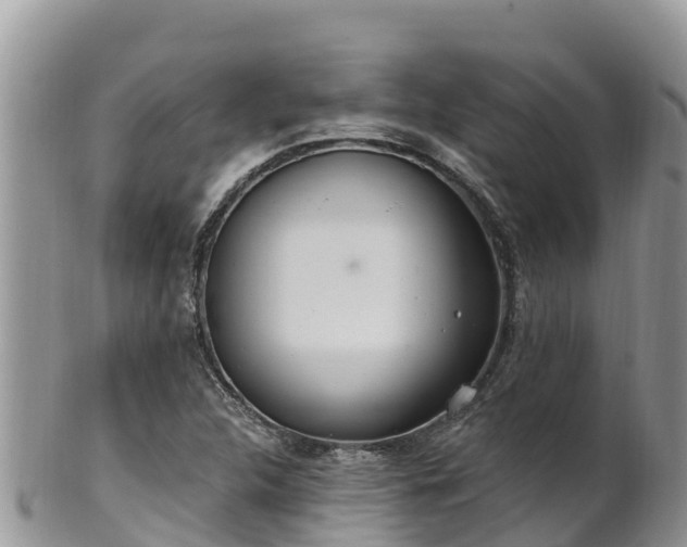 X0000102291312200808011504