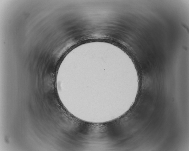 X0000102291314200808011504