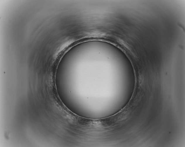 X0000102291315200808011504