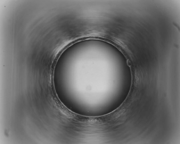 X0000102291316200808011504