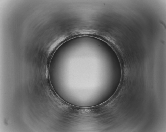 X0000102291317200808011504