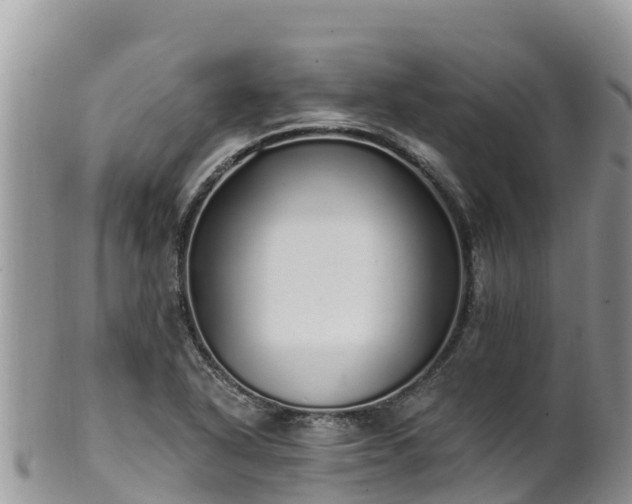 X0000102291318200808011504