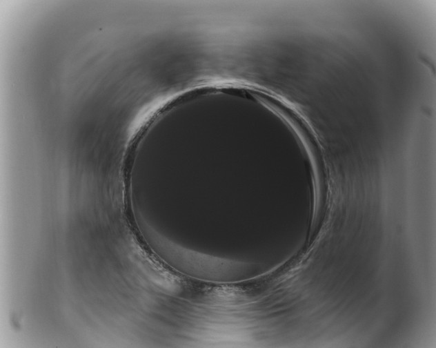 X0000102291319200808011504