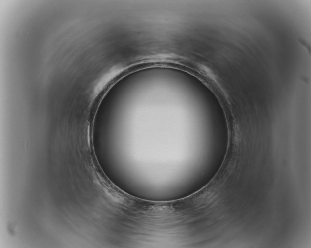 X0000102291320200808011504