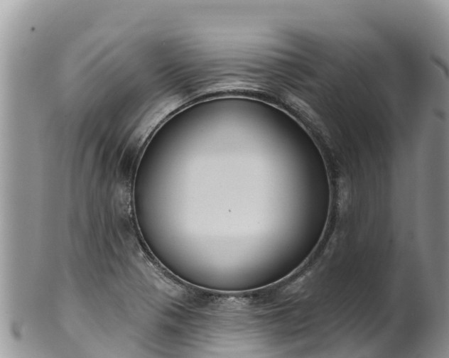 X0000102291321200808011504