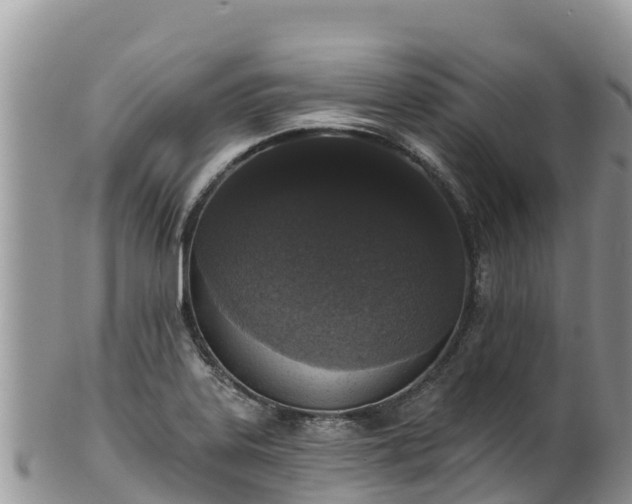 X0000102291323200808011504