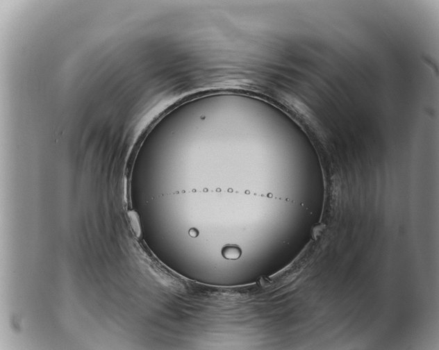 X0000102291324200808011504