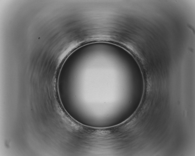 X0000102291325200808011504