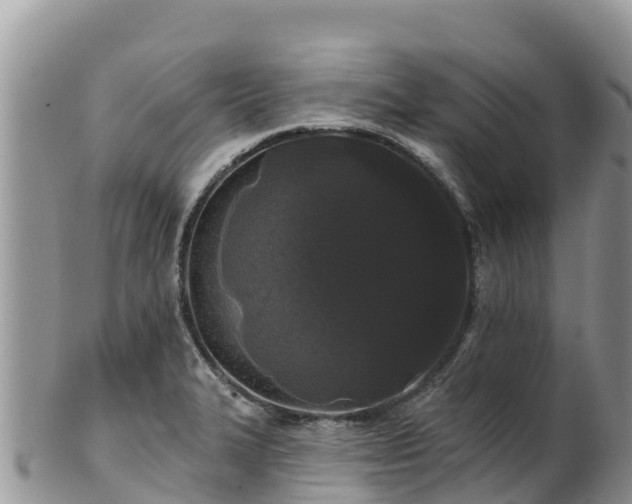 X0000102291327200808011504