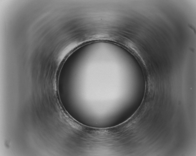 X0000102291328200808011504