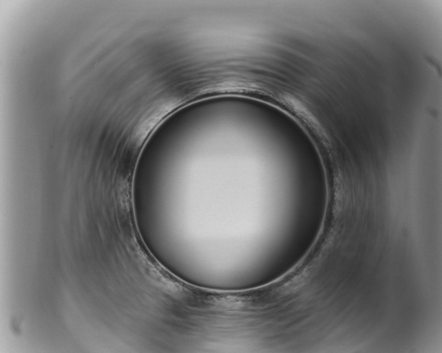 X0000102291329200808011504