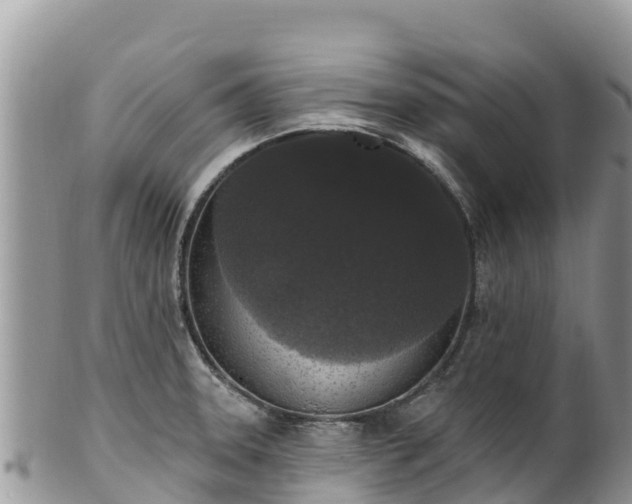 X0000102291331200808011504