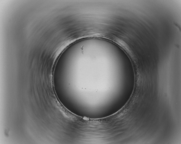 X0000102291332200808011504