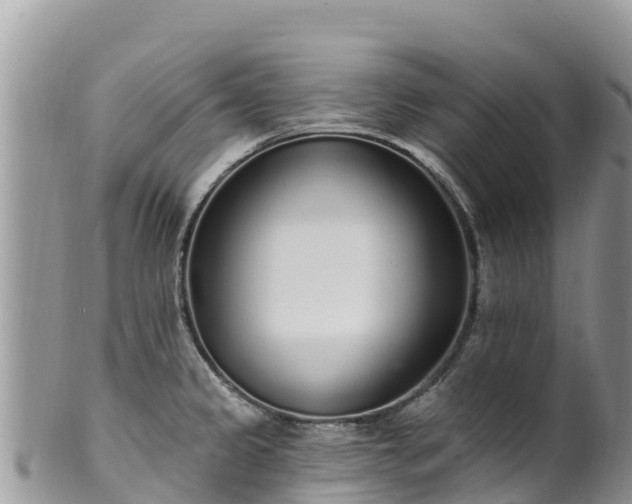 X0000102291333200808011504