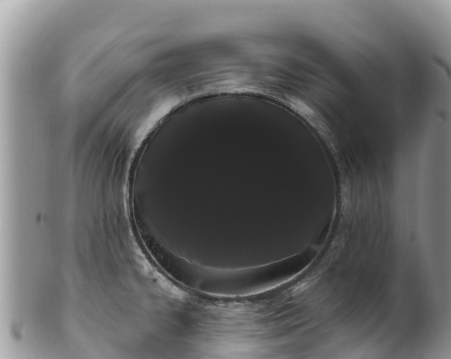 X0000102291334200808011504