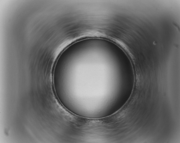 X0000102291335200808011504