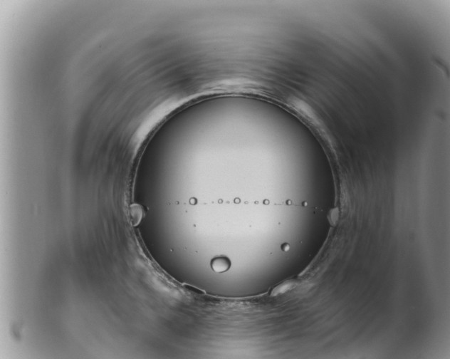 X0000102291336200808011504