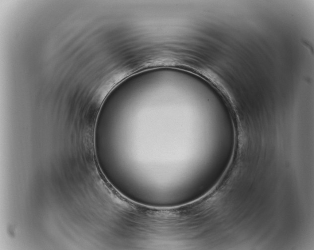 X0000102291337200808011504