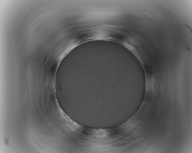 X0000102291338200808011504