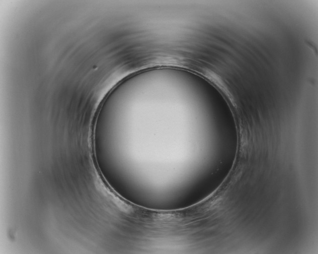 X0000102291339200808011504