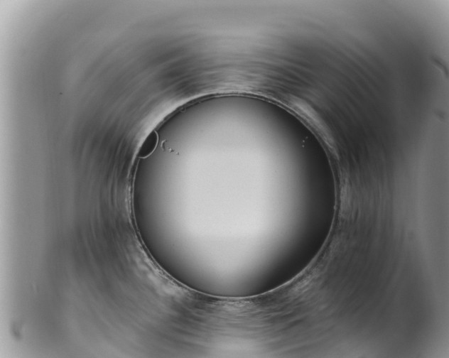 X0000102291340200808011504