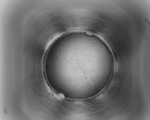 X0000102291341200808011504