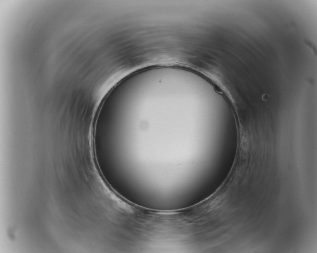 X0000102291343200808011504