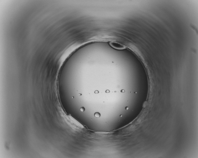 X0000102291344200808011504