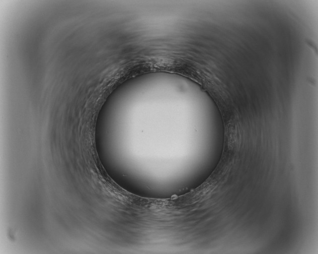 X0000102291345200808011504