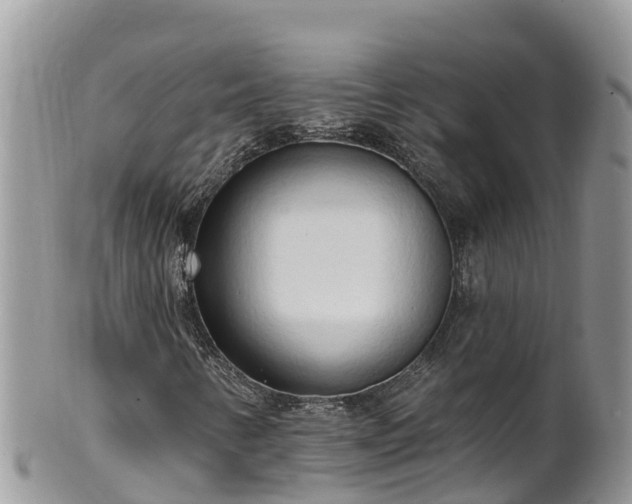 X0000102291346200808011504