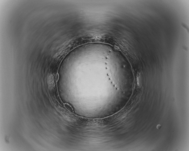 X0000102291347200808011504