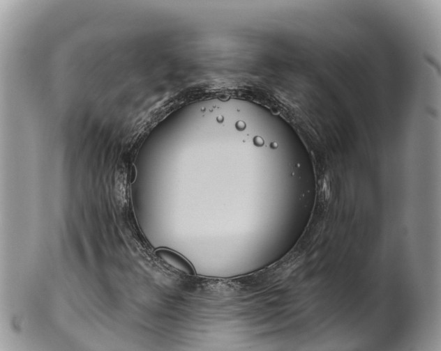 X0000102291348200808011504