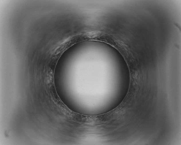 X0000102291349200808011504