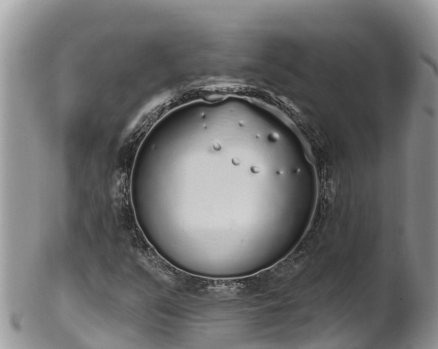 X0000102291351200808011504