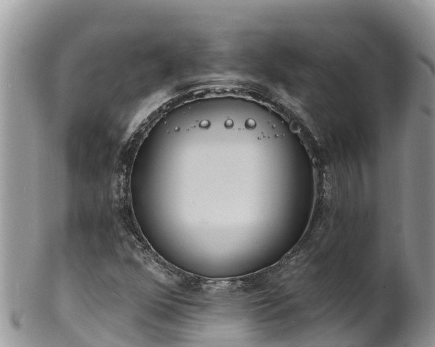 X0000102291352200808011503