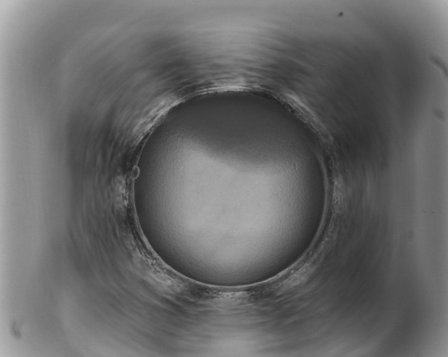 X0000102291353200808011503