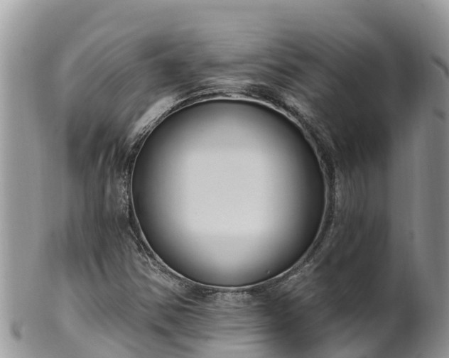 X0000102291354200808011503