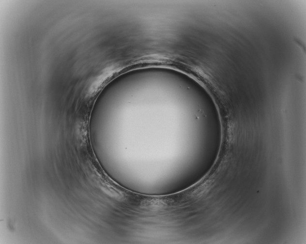 X0000102291355200808011503