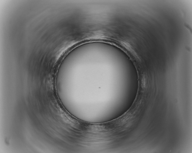 X0000102291356200808011503