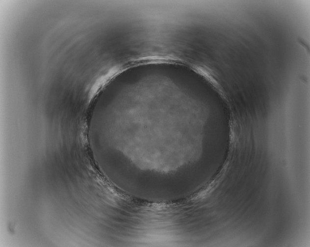 X0000102291357200808011503