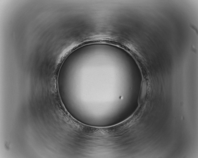 X0000102291358200808011503