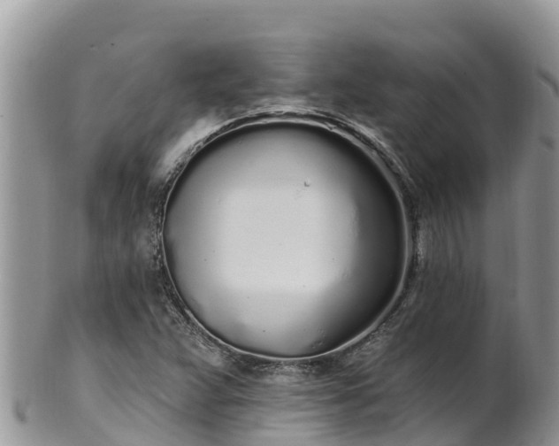 X0000102291359200808011503