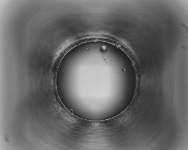 X0000102291360200808011503