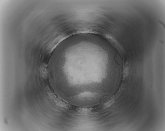 X0000102291361200808011503